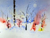 Winter Beauty
