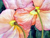Large Poppies