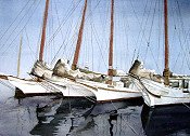 Sail Boats