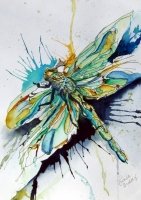 Dragonfly