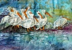 Pelican Pals