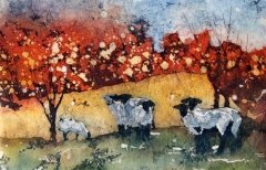 Sheep