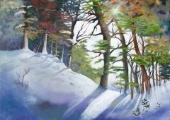 Winter Morning