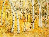 Aspen Gold