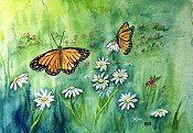 Butterflies 2013