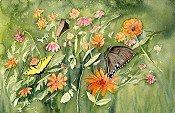 Butterfly Garden