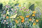 Butterfly Glory