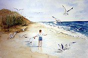 Feeding The Gulls