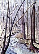 Winter Stream