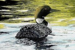 Judy Mulrenin
