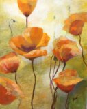 Golden Poppies