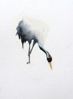 Heron