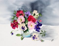 Pansies