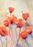 Poppy Field