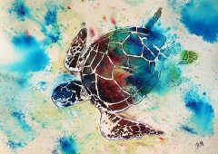 Turtle