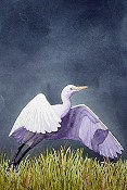 Egret In Flight