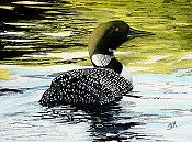Loon