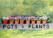 Pots And Plants