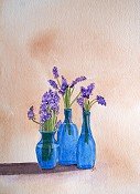 Purple Flowers
