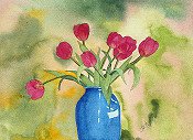 Tulips