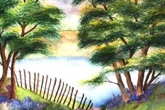 Cathy Olson