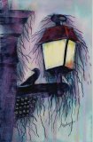 Lantern's Glow