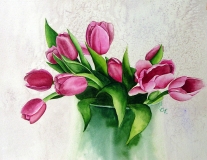 Carol's Tulips