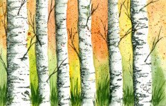 Autumn Birches