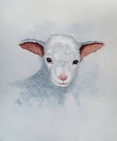 Sweet Baby Lamb