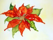 Poinsettia Fun
