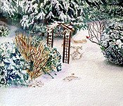 Winter Garden