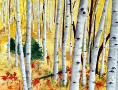 Aspen Gold