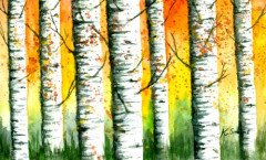 Birches at Sunset