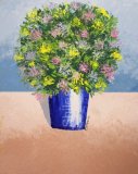 Potted Lantana