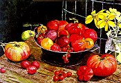 Dads Tomatos