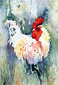 Rooster 2