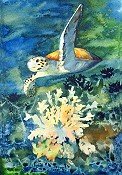 Turtle And Coral