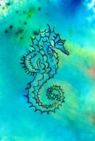 Sea Horse 4