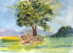 Summer Meadow