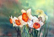 Daffodils