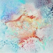 Flowers In Motion