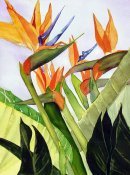 Hawaiian Treasures