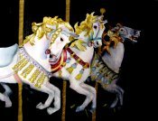 Merry Go Round