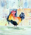 Morning Roosterr