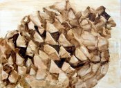 Pine Cone
