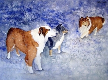 Dogs In A Snow Storm