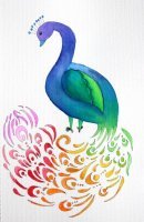 Peacock Beauty