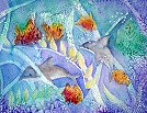 Dolphins