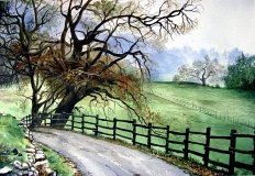 Country Lane