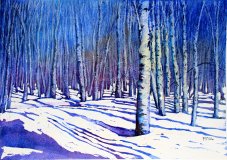 WInter Birches